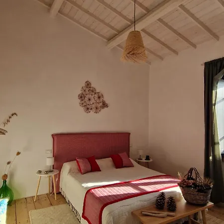 Casa S'urtzula Maison d'hôtes Sini