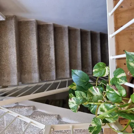 Casa S'urtzula *