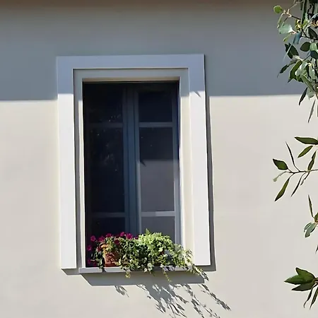 بيت ضيافة Casa S'urtzula 3*