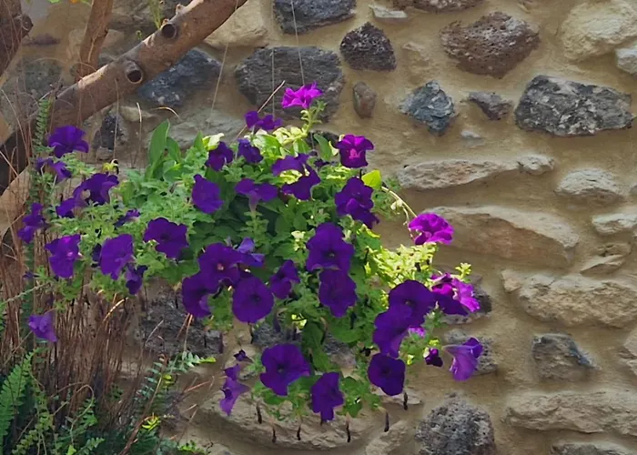 Casa S'urtzula Гостевой дом *